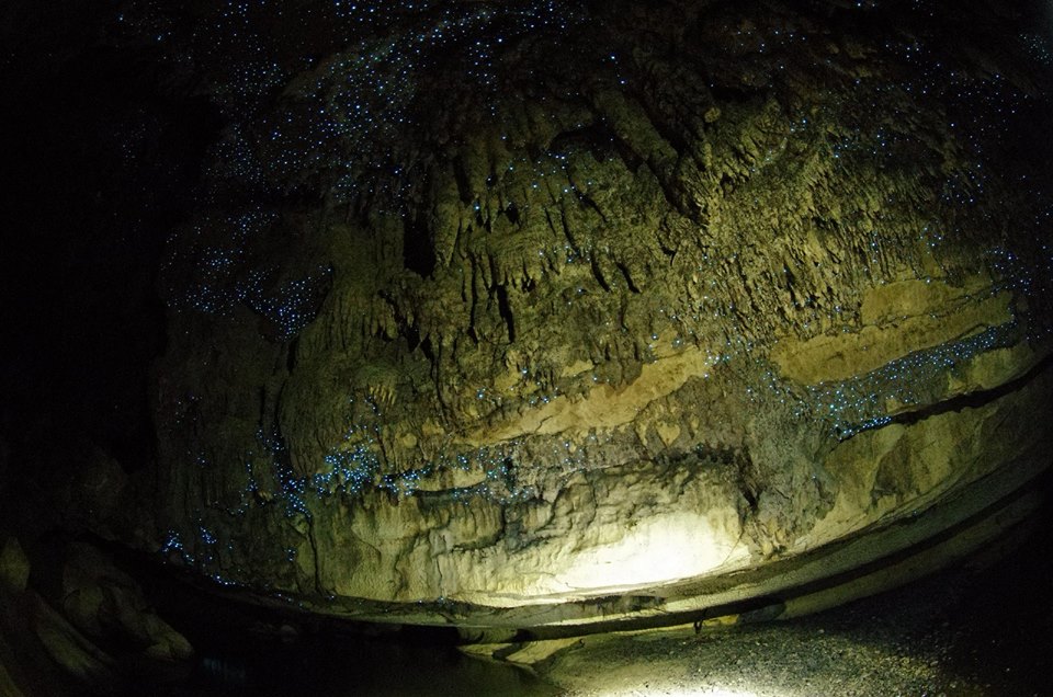 waipu caves