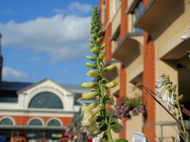 Covent garden