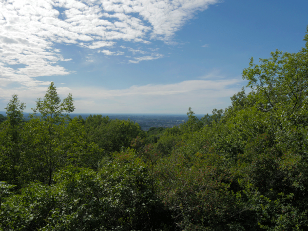 Mont Royal