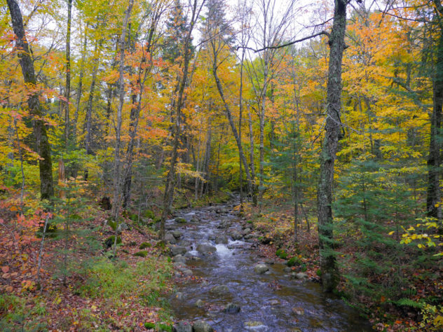 Randonné mont tremblant