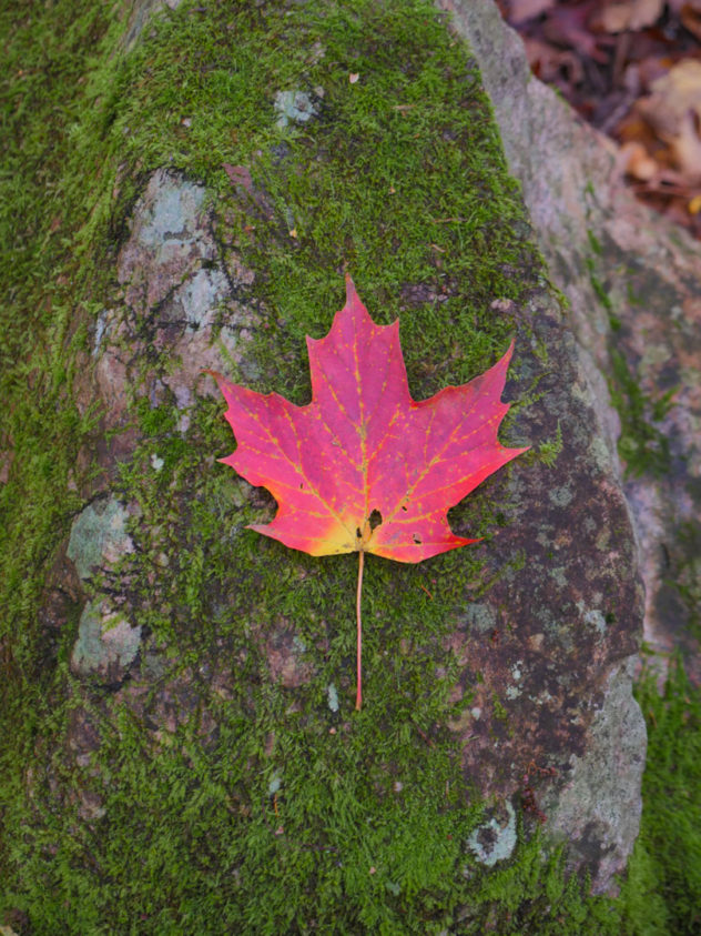 Randonné mont tremblant 4