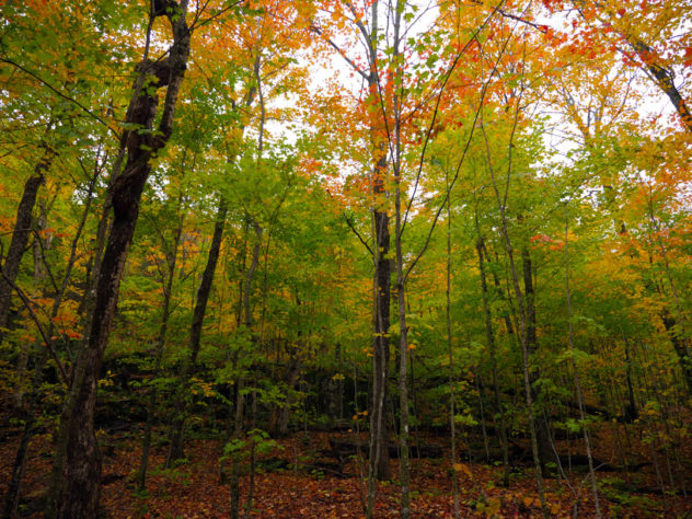 Randonné mont tremblant 7