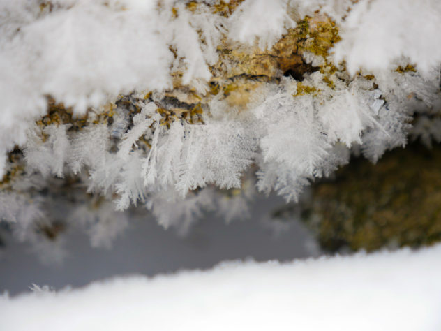 Neige macro