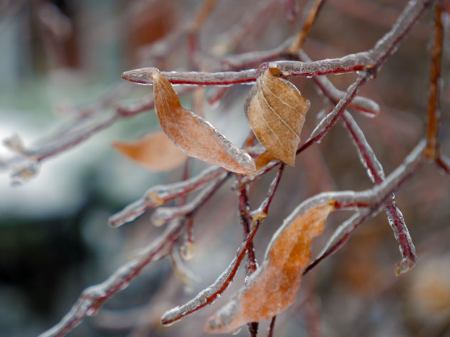 La magie du froid