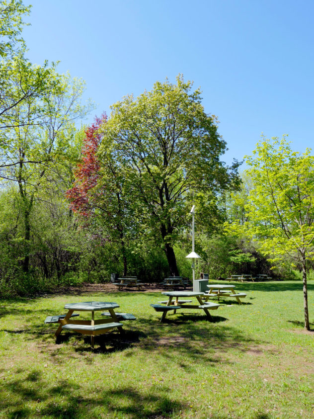 Parc du bois de Liesse