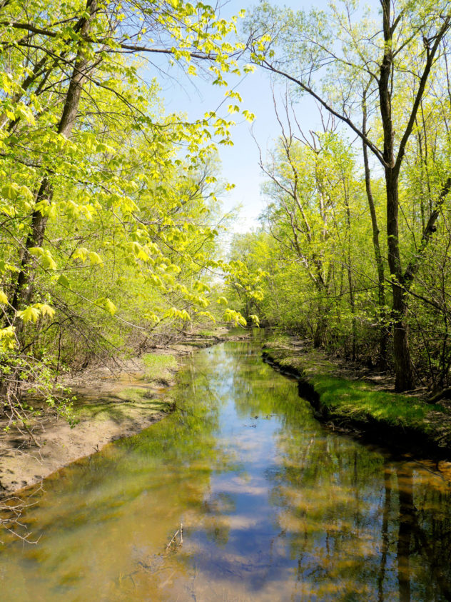 Parc du bois de Liesse 3