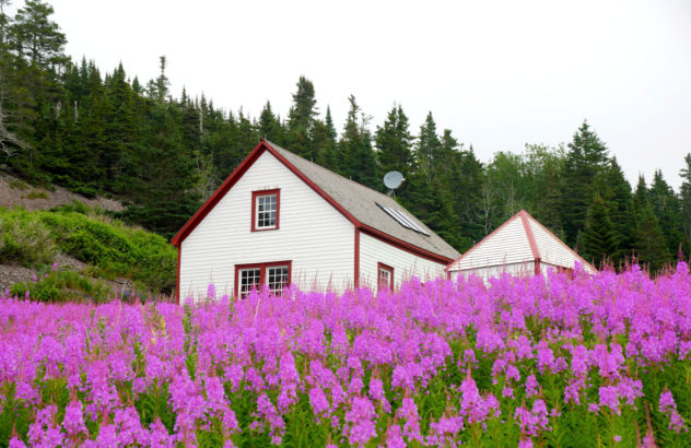 Percé 9