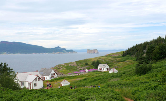 Percé - Fou de Bassan 4