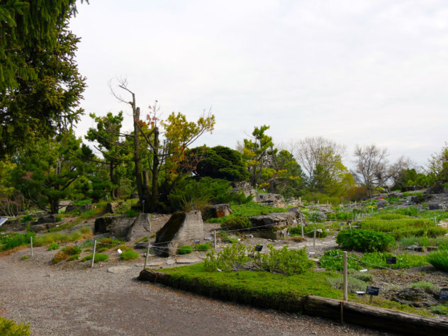 Jardin botanique