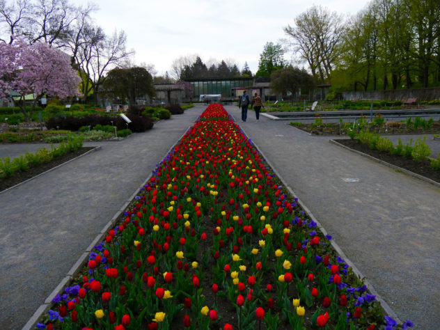 Jardin botanique