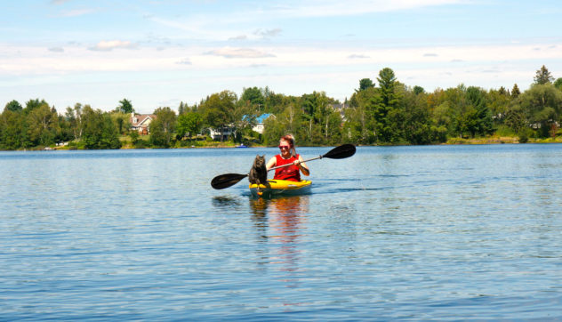 Chalet | Kayak