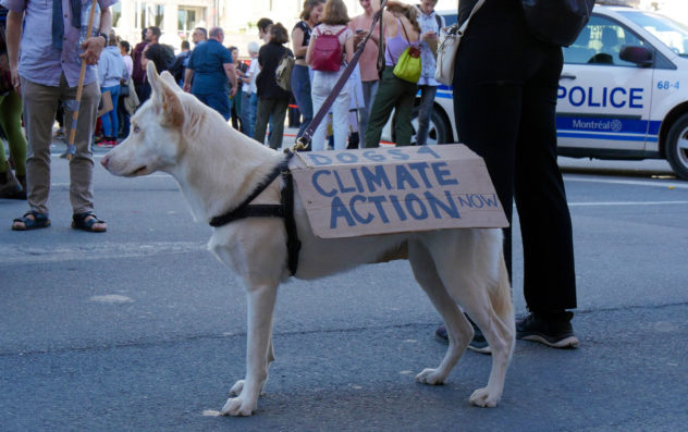 Marche pour le climat Montréal 2019